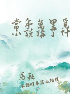 当年万里觅封侯小说讲了什么