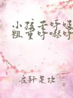 小孩子呼吸声音粗重呼哧呼哧的