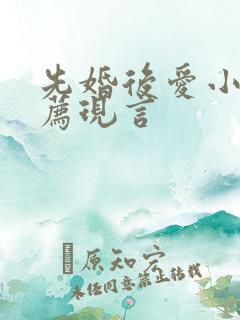 先婚后爱小说推荐现言