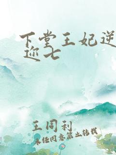 下堂王妃逆袭记 迩七