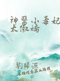 神医小毒妃皇叔太傲娇