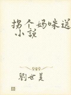 拐个妈咪送爹地 小说