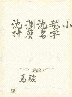 沈渊沈越小说叫什么名字