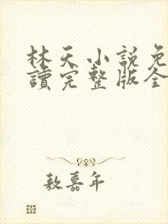 林天小说免费阅读完整版全文