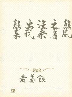 熊出没之熊心归来我乘着风飞过来