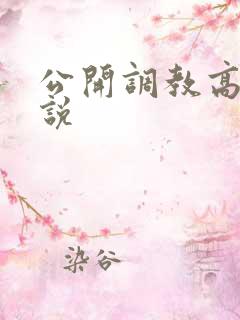 公开调教高h小说