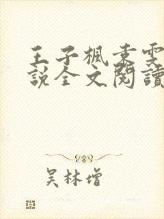 王子枫袁雯洁小说全文阅读