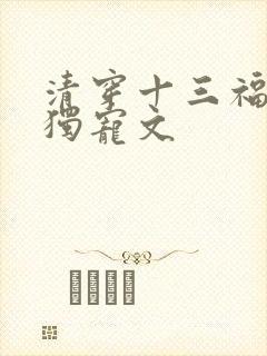 清穿十三福晋的独宠文