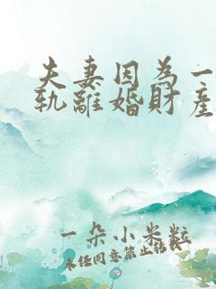 夫妻因为一方出轨离婚财产怎么分配
