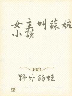 女主叫苏婉离的小说