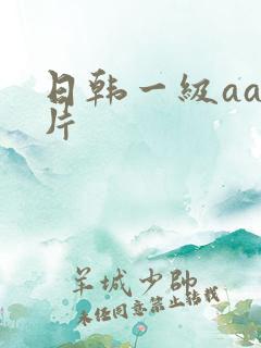 日韩一级aa大片