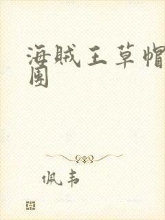 海贼王草帽海贼团 海贼王草帽海贼团