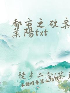 都市之破案狂少叶阳txt