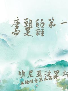 唐朝的第一位皇帝是谁