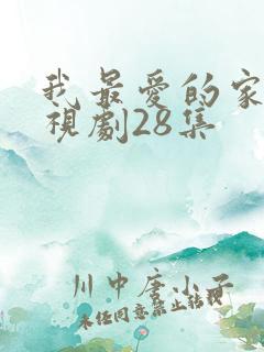 我最爱的家人电视剧28集