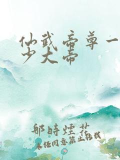仙武帝尊一共多少大帝