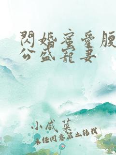 闪婚蜜爱腹黑老公盛宠妻