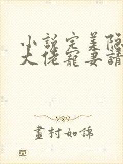 小说完美隐婚:大佬宠妻请低调