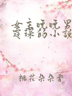 女主晚晚男主傅霆琛的小说