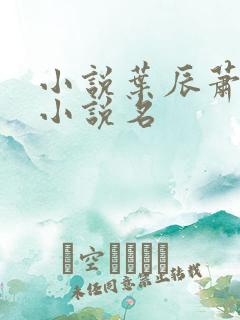 小说叶辰萧初然小说名