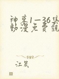 神墓1—36集动漫免费观看流畅