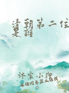 清朝第二位皇上是谁