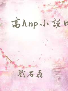 高hnp小说肉