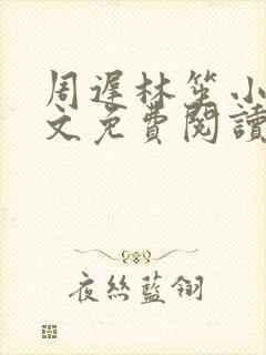 周迟林笙小说全文免费阅读