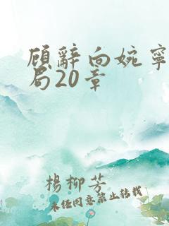 顾辞向婉宁大结局20章