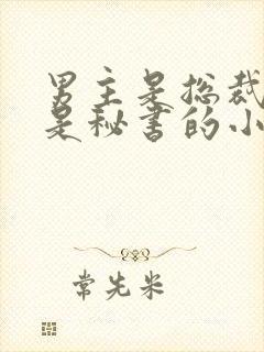 男主是总裁女主是秘书的小说推荐