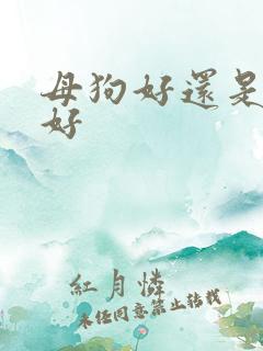 母狗好还是公狗好