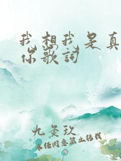 我想我是真的爱你歌词