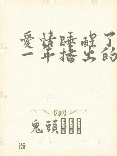 爱情睡醒了是哪一年播出的