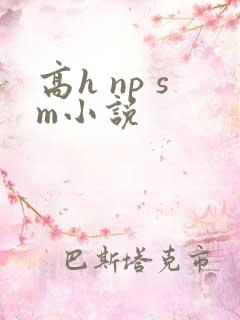高h np sm小说