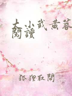 大小武黄蓉免费阅读