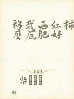 移栽西红柿用什么底肥好