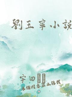 刘玉宁小说