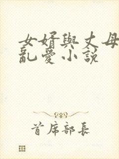 女婿与丈母娘乱乱爱小说