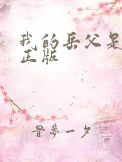 我的岳父是崇祯正版