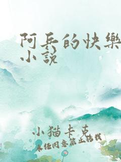 阿兵的快乐生活小说