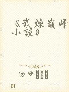 《武炼巅峰杨开小说》