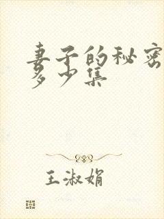 妻子的秘密一共多少集