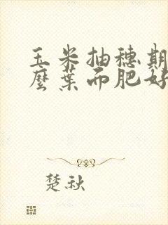 玉米抽穗期喷什么叶面肥好