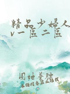 精品少妇人妻av一区二区