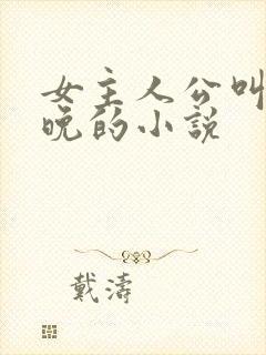 女主人公叫苏晚晚的小说