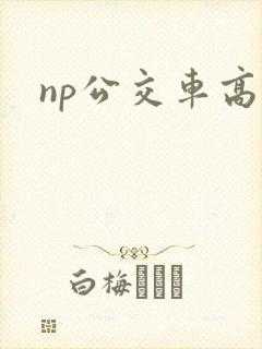 np公交车高h