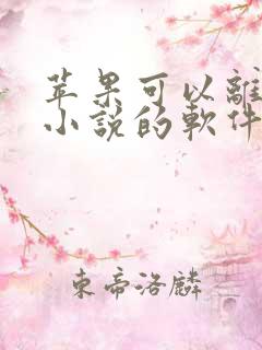 苹果可以离线看小说的软件