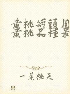 黄桃罐头用哪个黄桃品种最好