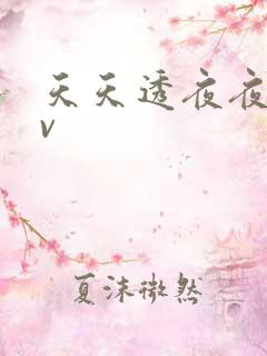 天天透夜夜欢av