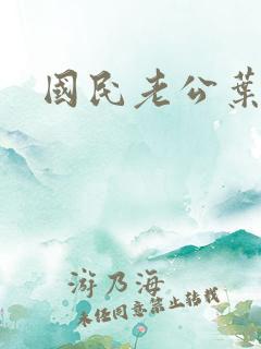 国民老公叶非夜